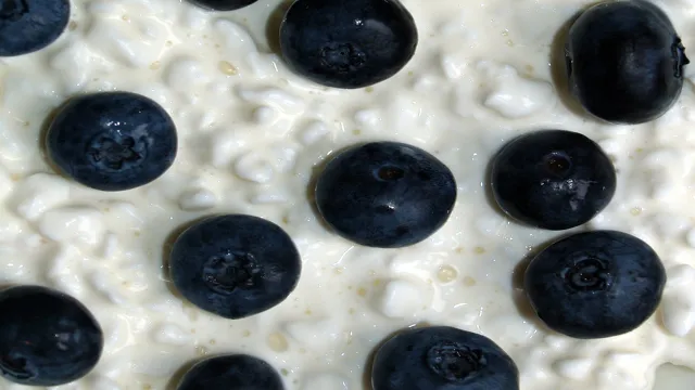 cottage cheese blueberries