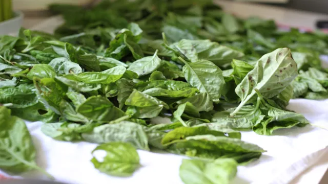 how to dry fresh basil in air fryer