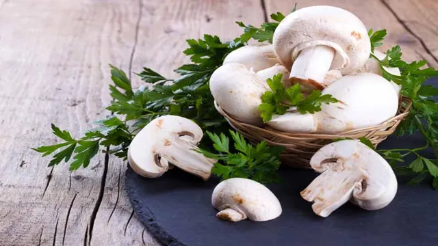 can you eat portabella mushrooms raw