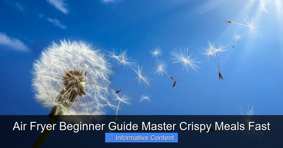 Air Fryer Beginner Guide Master Crispy Meals Fast