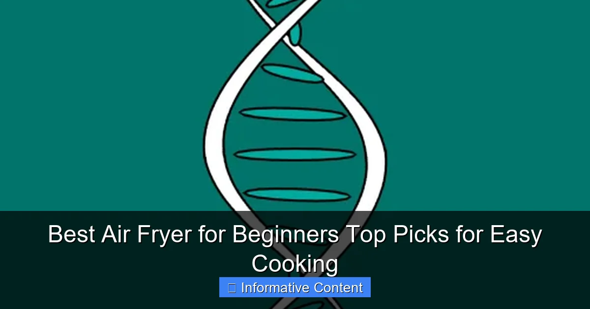 Best Air Fryer for Beginners Top Picks for Easy Cooking