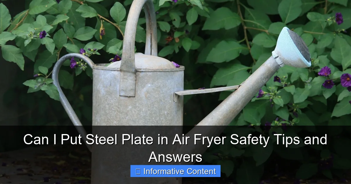 Can I Put Steel Plate in Air Fryer Safety Tips and Answers