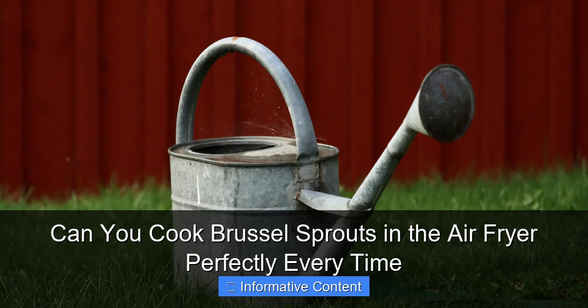 Can You Cook Brussel Sprouts in the Air Fryer Perfectly Every Time