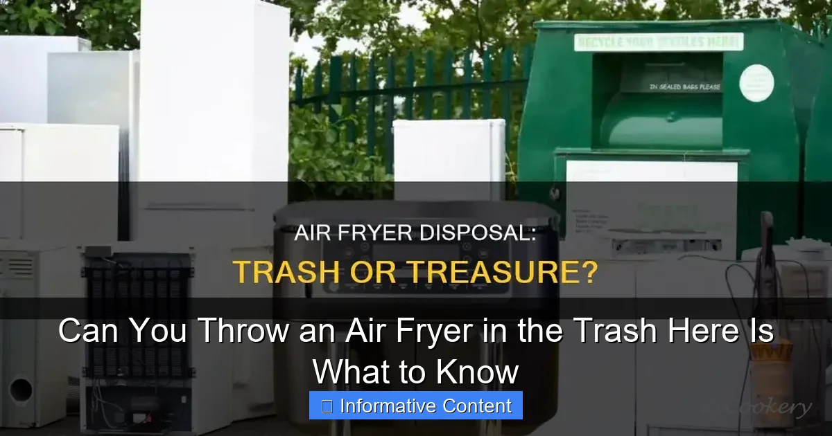 Can You Throw an Air Fryer in the Trash Here Is What to Know
