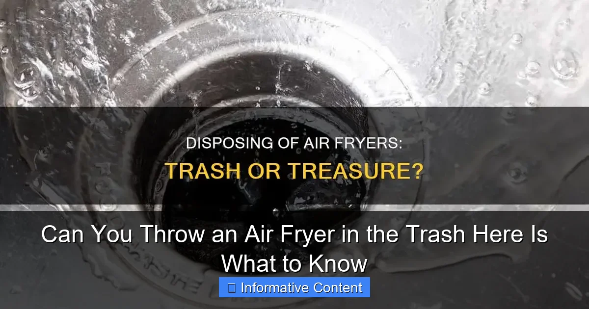 Can You Throw an Air Fryer in the Trash Here Is What to Know