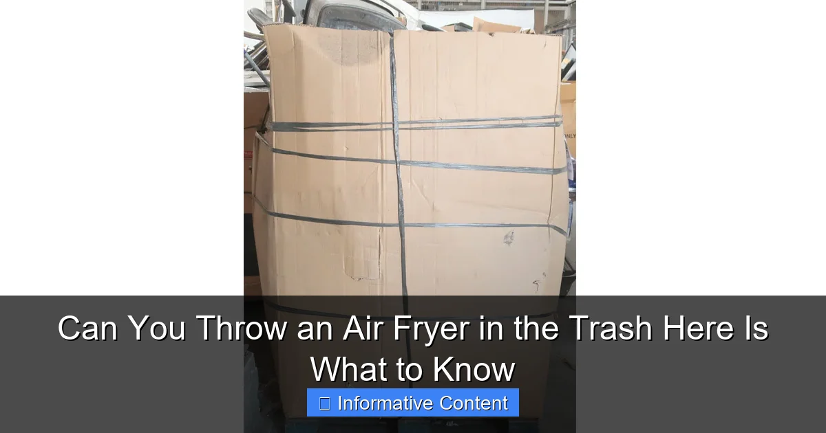 Can You Throw an Air Fryer in the Trash Here Is What to Know
