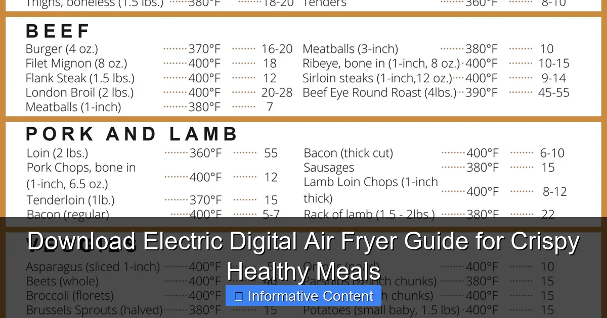 Download Electric Digital Air Fryer Guide for Crispy Healthy Meals