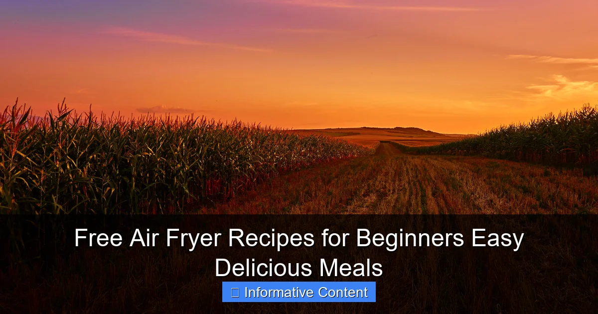 Free Air Fryer Recipes for Beginners Easy Delicious Meals