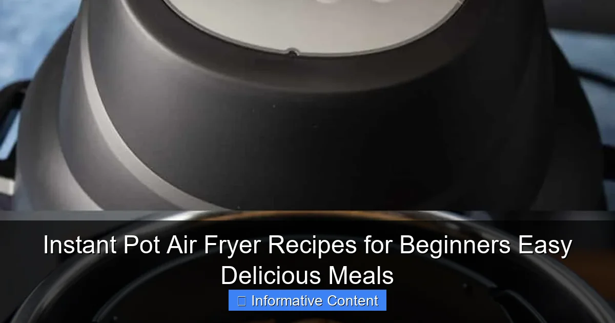 Instant Pot Air Fryer Recipes for Beginners Easy Delicious Meals