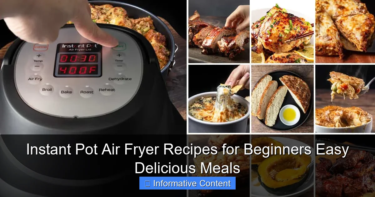 Instant Pot Air Fryer Recipes for Beginners Easy Delicious Meals