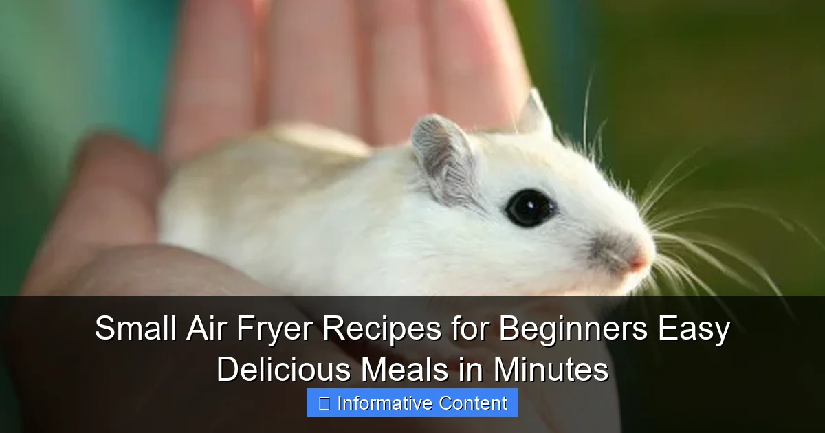 Small Air Fryer Recipes for Beginners Easy Delicious Meals in Minutes
